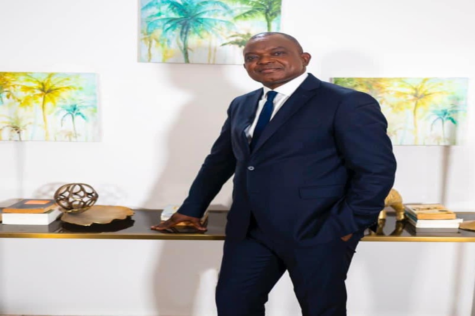 Vincent Toh Bi Irié: From Prefect of Abidjan to 2025 Presidential Candidate